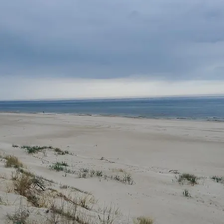 Unique Pearl With The Swimming Pool By Renters