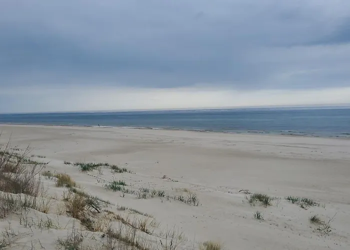 Unique Pearl With The Swimming Pool By Renters